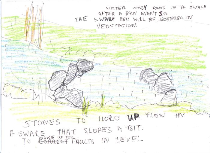 [Thumbnail for stones in swale bed..jpg]